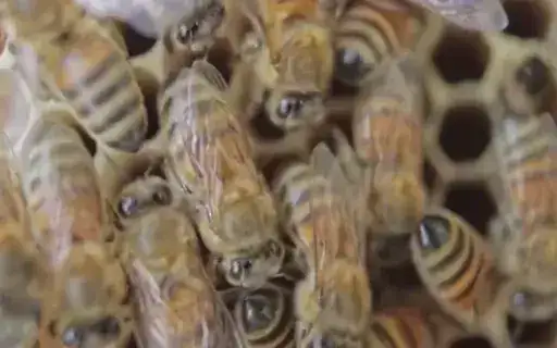 ürün geliyor 512x320